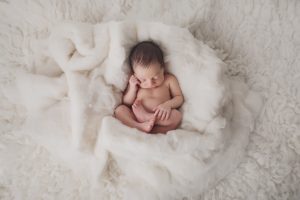 newborn baby photography curled up cream rug fluff