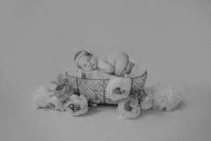 rose newborn baby photo shoot basket