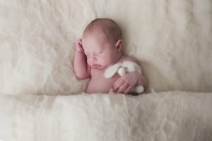 newborn baby photography cream bunny boy